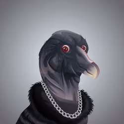 #3287 Condor