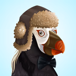#2601 Puffin