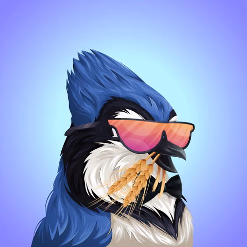 #469 Bluejay