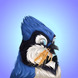 #2494 Bluejay