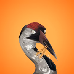 #4111 Crane