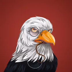 #4248 Bald Eagle