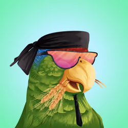 #264 Parrot