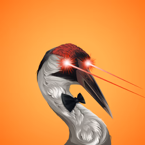 The Birdhouse Official