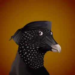 #853 Vulture