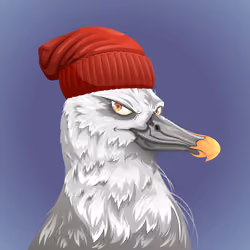 #5531 Albatross