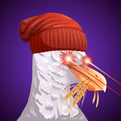 #5204 Seagull