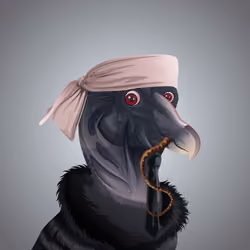 #2390 Condor
