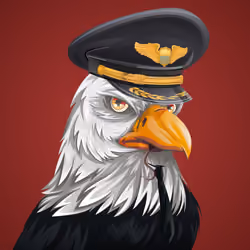 #3546 Bald Eagle