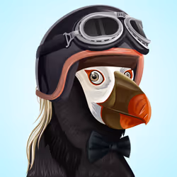 #3873 Puffin