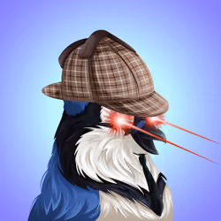 #2541 Bluejay