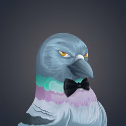 #2351 Pigeon