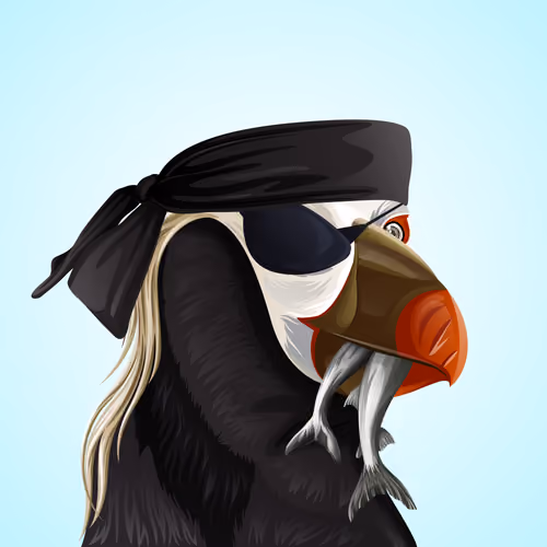 #2473 Puffin