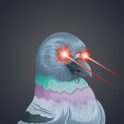 #2848 Pigeon