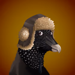 #2120 Vulture