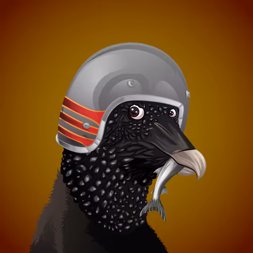 The Birdhouse Official