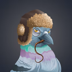 #1044 Pigeon
