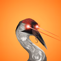 #5695 Crane