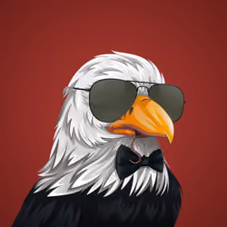 #1717 Bald Eagle