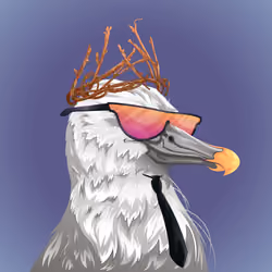 #3181 Albatross
