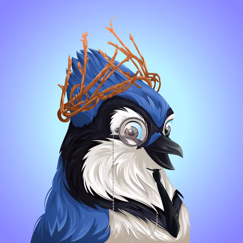 #4972 Bluejay