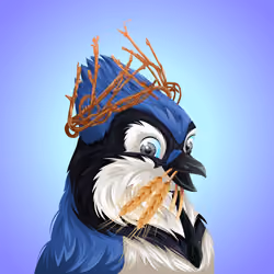 #882 Bluejay