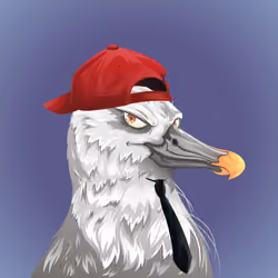 #1696 Albatross