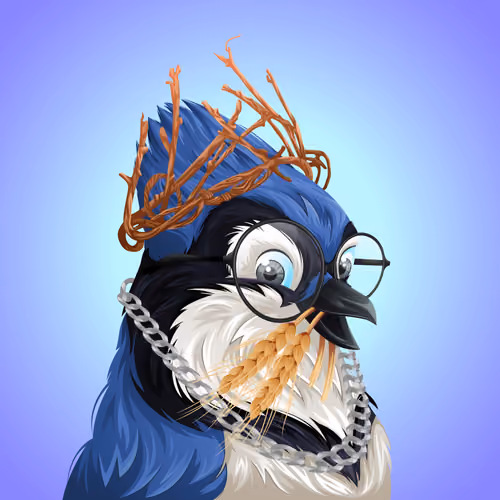 #2877 Bluejay