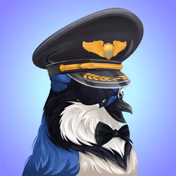 #1467 Bluejay