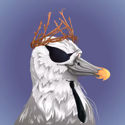 #1862 Albatross