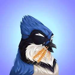 #4945 Bluejay