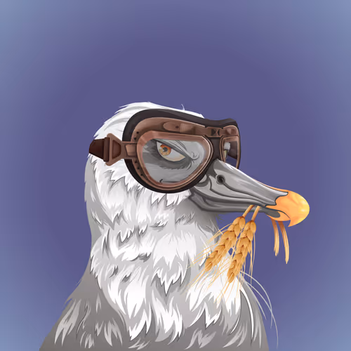 The Birdhouse Official