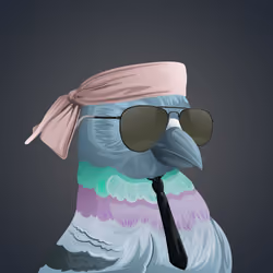 #675 Pigeon