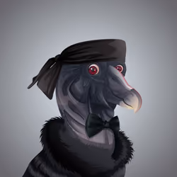#5169 Condor