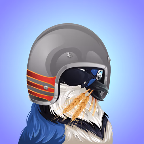 #5672 Bluejay