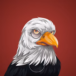 #4181 Bald Eagle