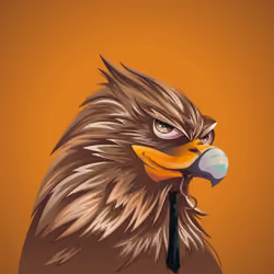 #2063 Hawk