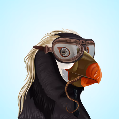 The Birdhouse Official