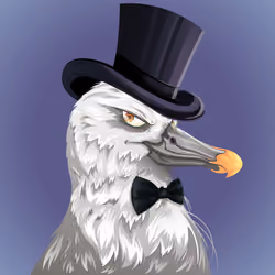 #3268 Albatross