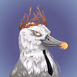 #6 Albatross