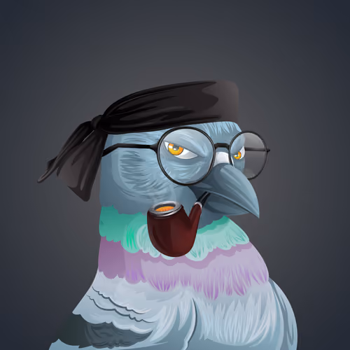 #3433 Pigeon