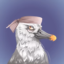 #3852 Albatross