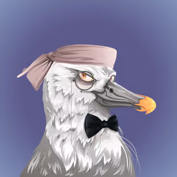 #884 Albatross