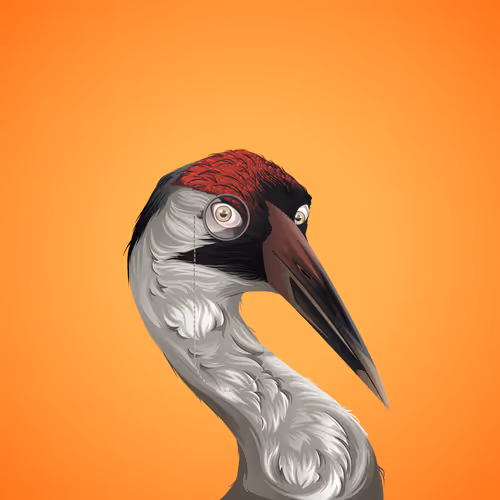 The Birdhouse Official