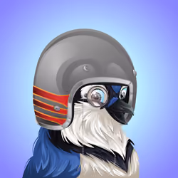 #3573 Bluejay