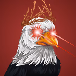 #3241 Bald Eagle