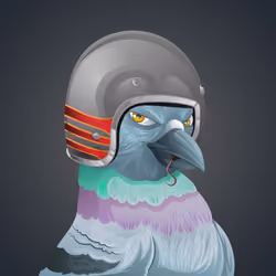 #3572 Pigeon