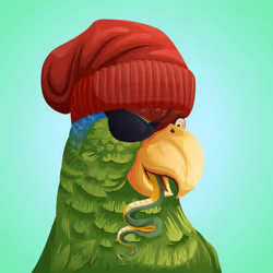 #178 Parrot