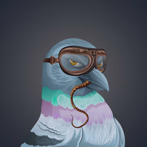The Birdhouse Official