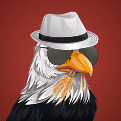 #4219 Bald Eagle